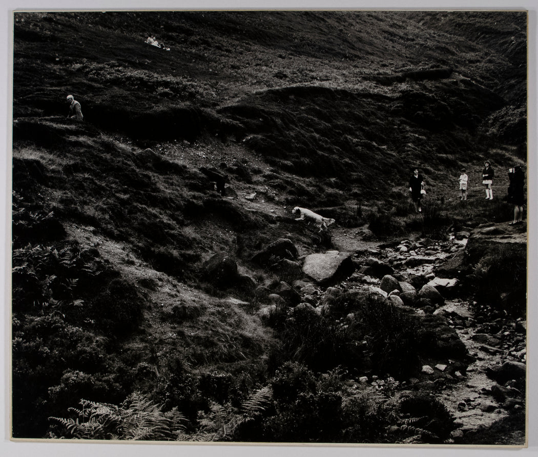 Untitled (Dogs Climbing a Hill)
