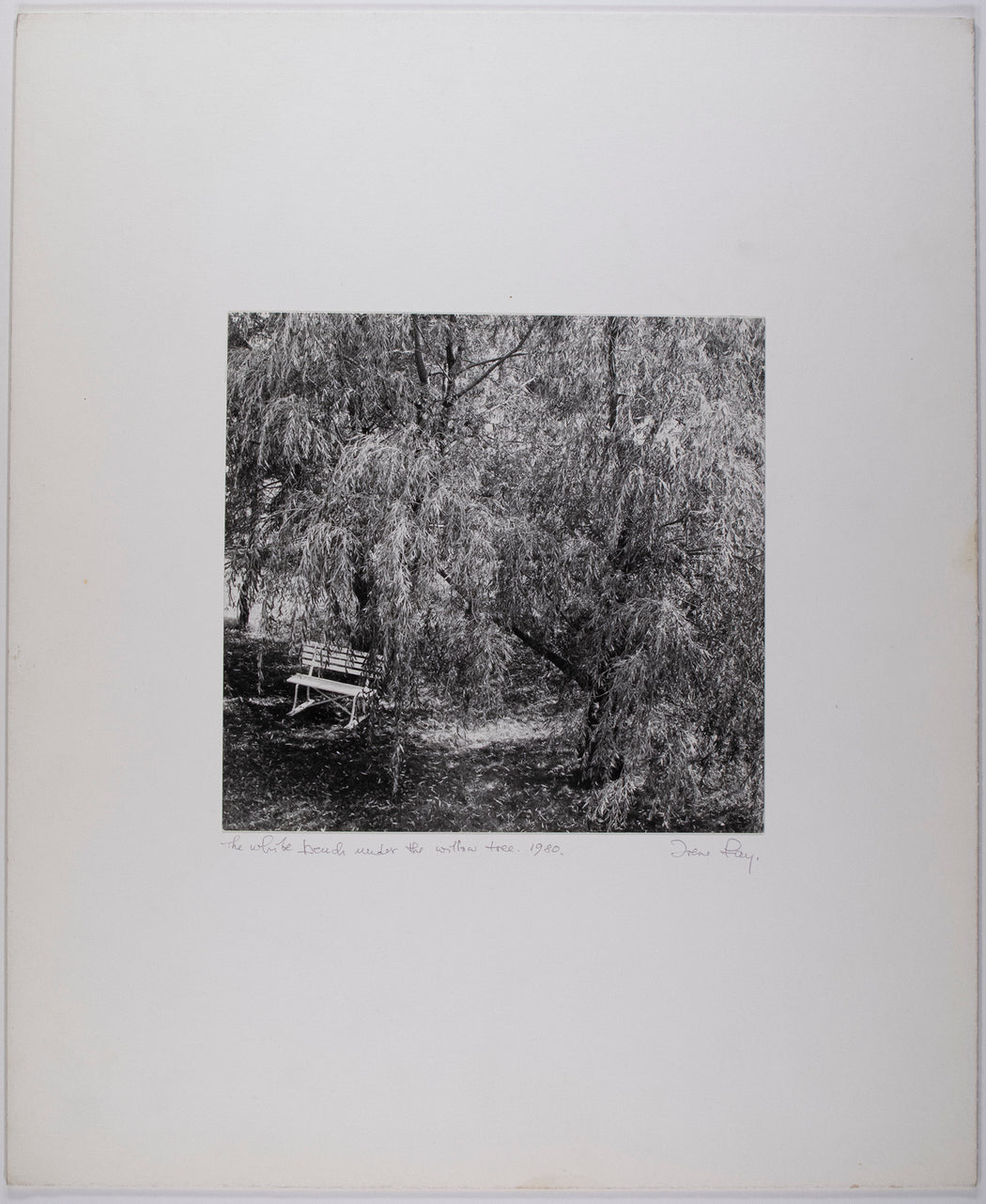 The White Bench Under The Willow Tree