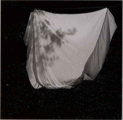 Fitted Sheet On The Line