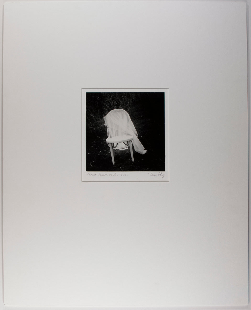Veiled Bentwood