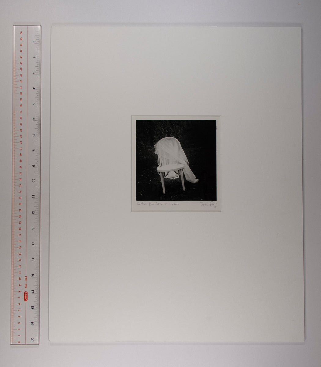 Veiled Bentwood
