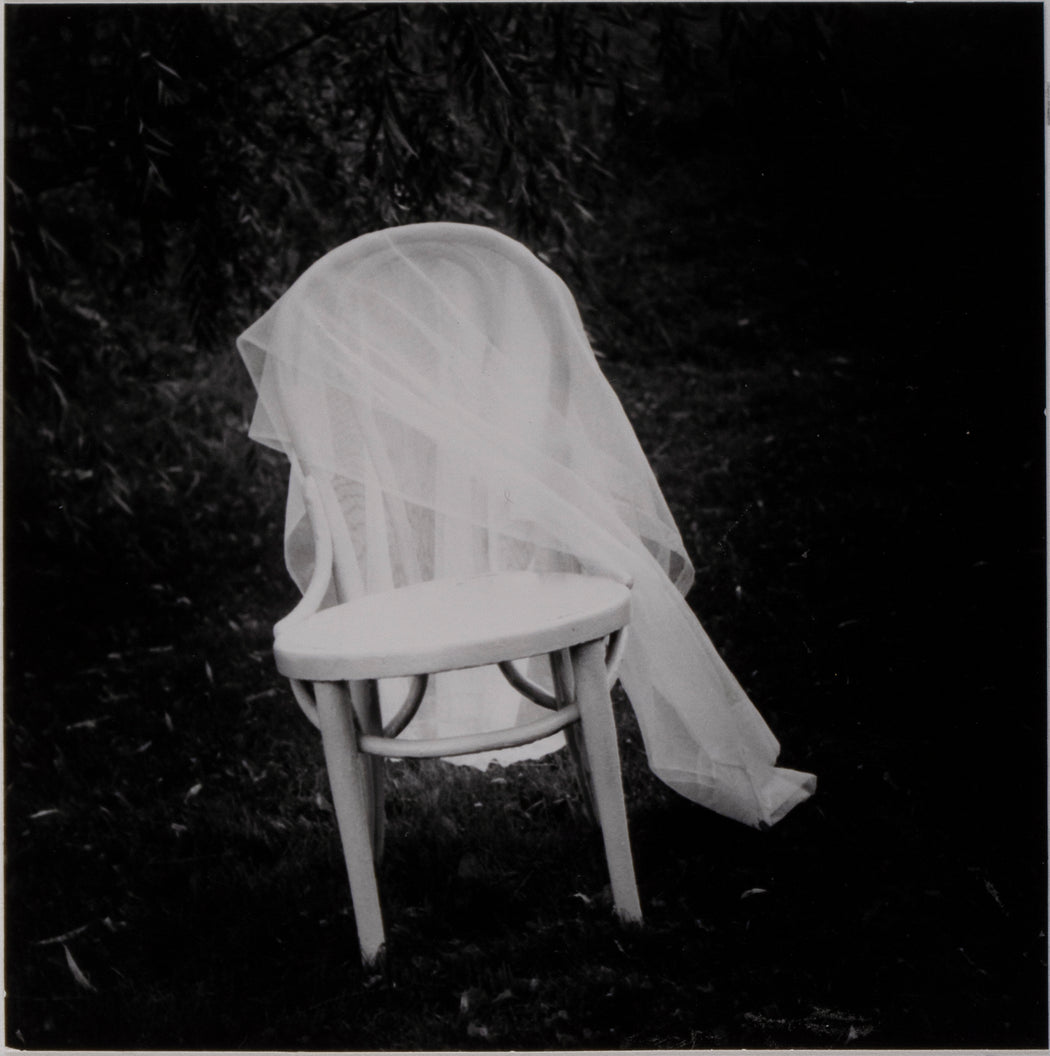Veiled Bentwood