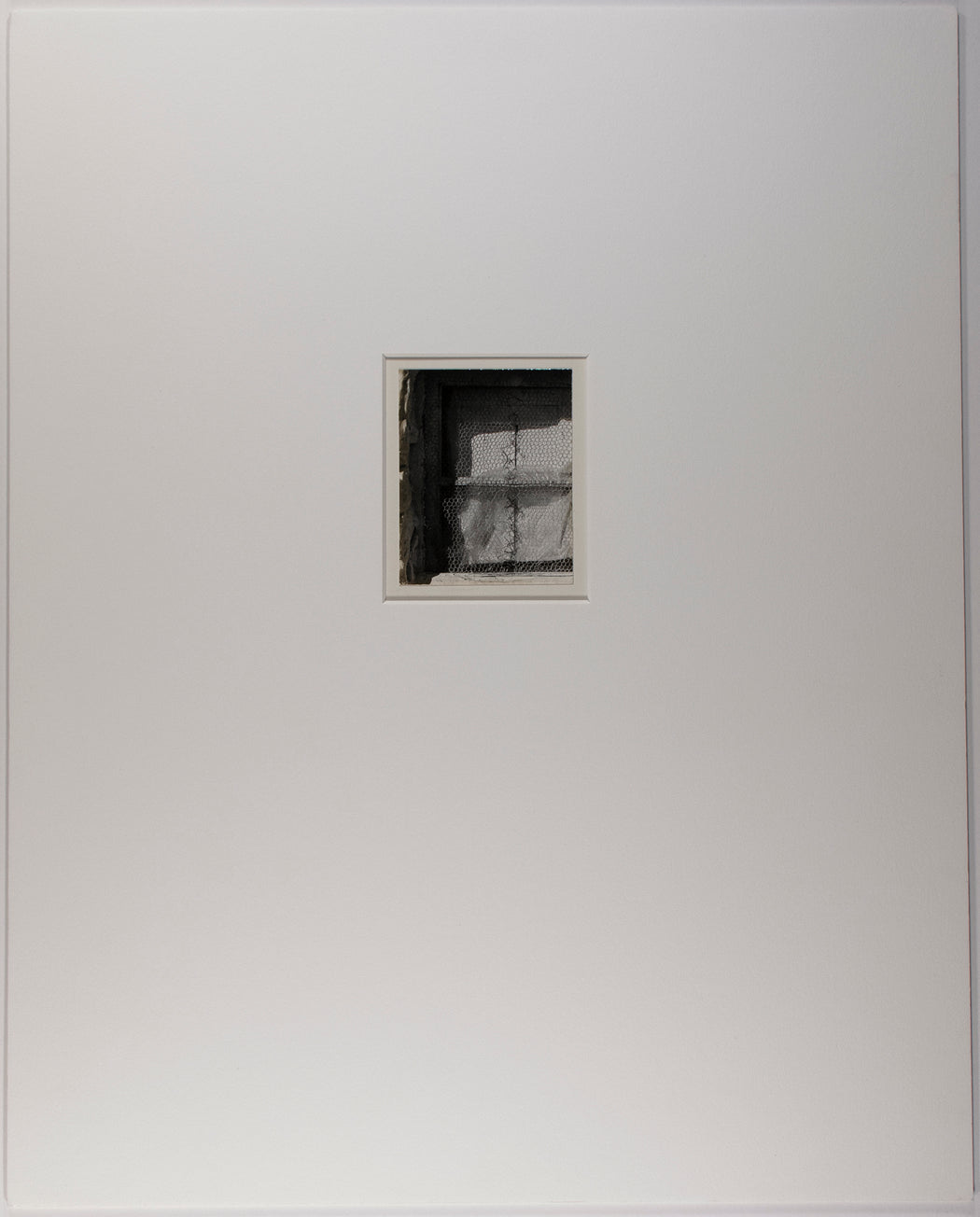 Window With Wire Mesh