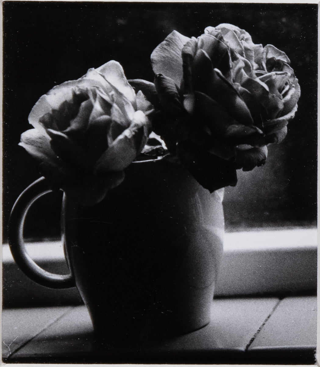 Two Roses