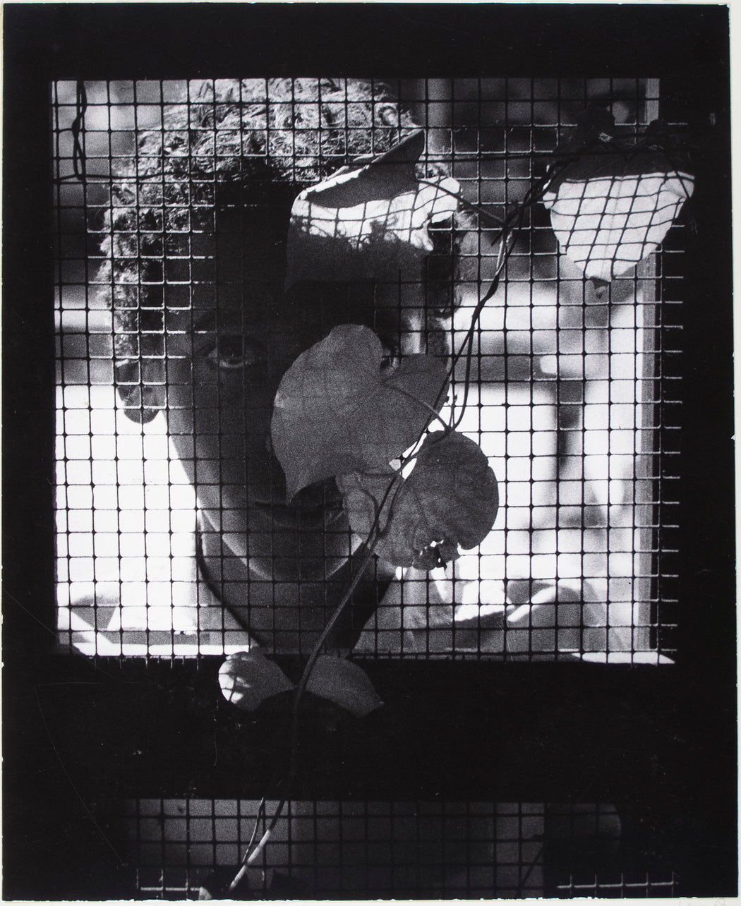 Boy Begging Behind Wire Door, St. Lucia