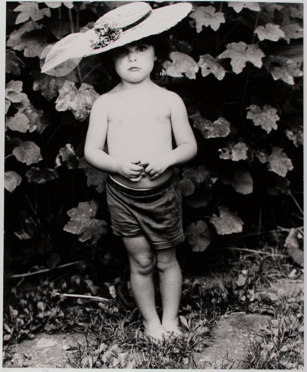 Rosalie Fay Barnes
