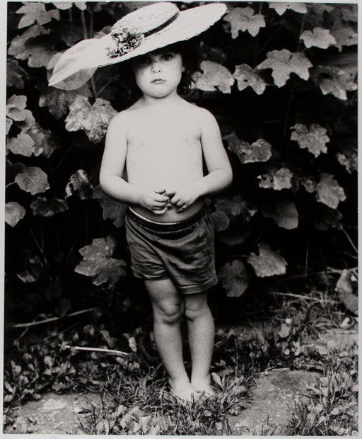 Rosalie Fay Barnes