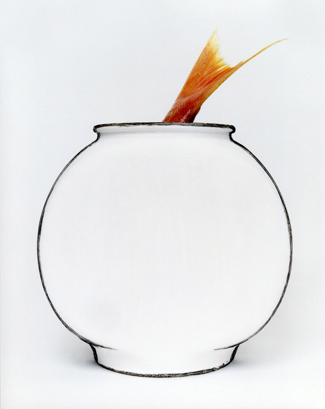 Representation No. 27 (fishbowl) - Cynthia Greig | FFOTO