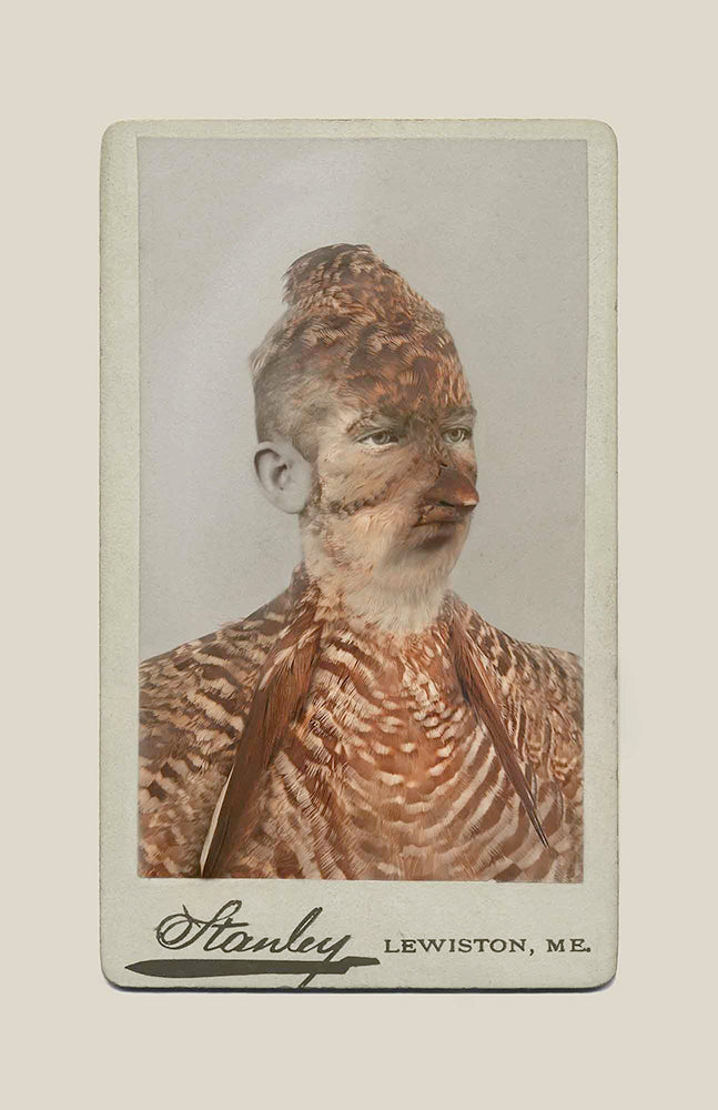 FFOTO-Sara Angelucci-Aviary (Heath Hen/extirpated)