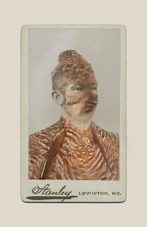 FFOTO-Sara Angelucci-Aviary (Heath Hen/extirpated)