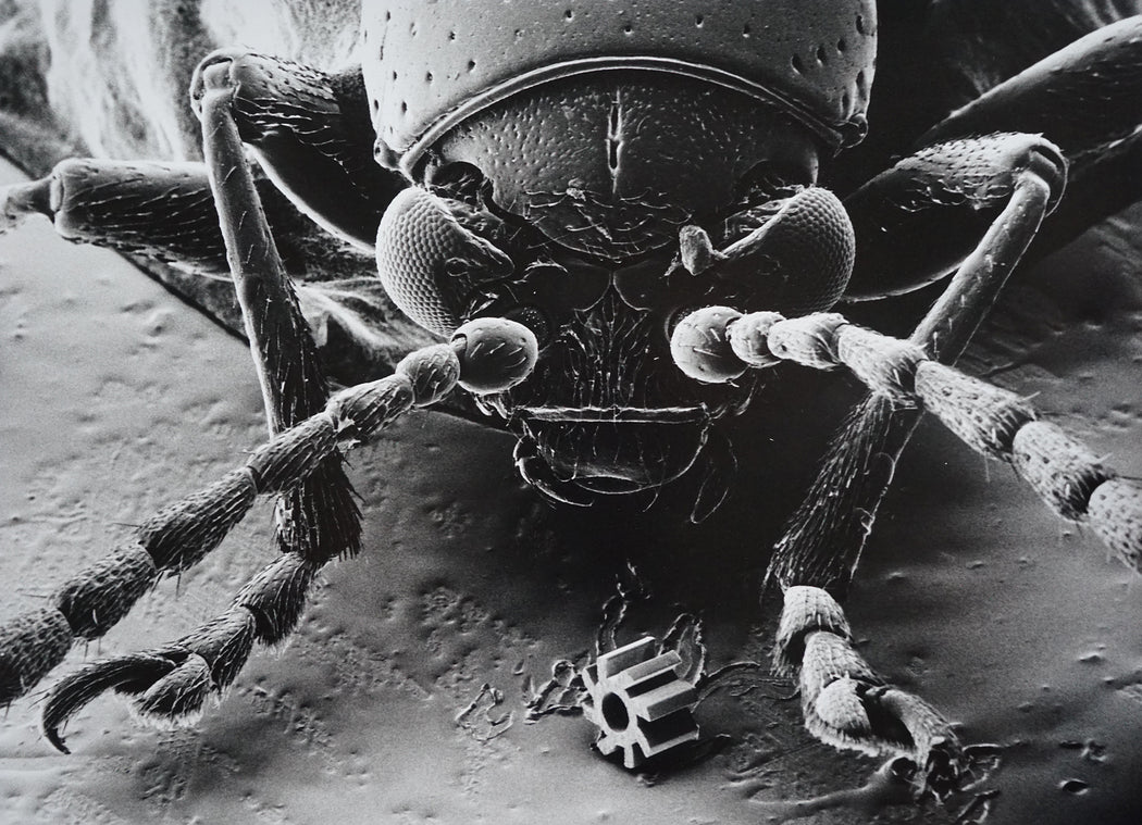 Beetle with Microturbine at Research Center Karlsruhe
