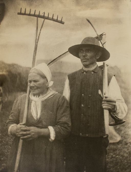 Harvesters (copy print)