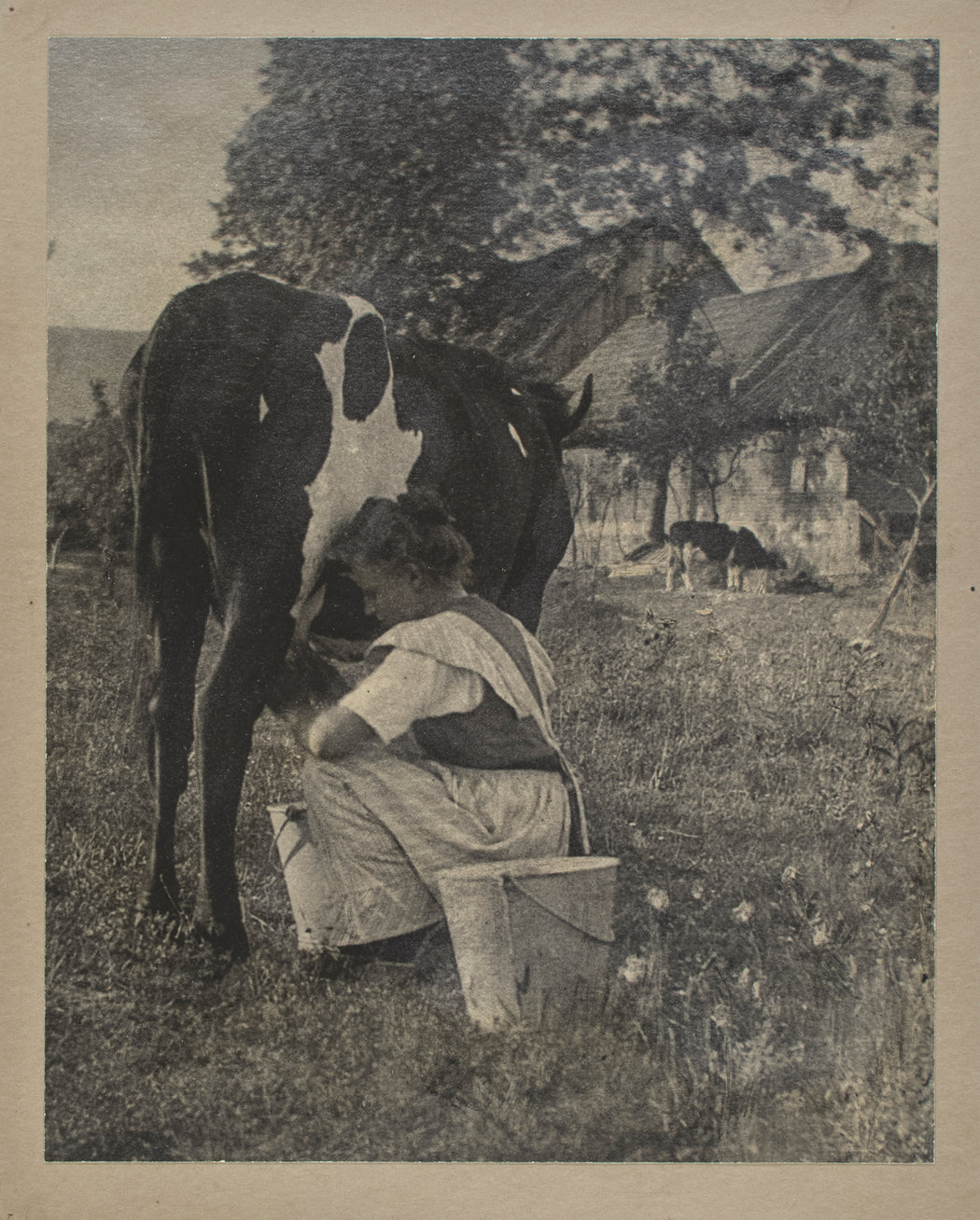 Untitled (portrait of a girl milking a cow)