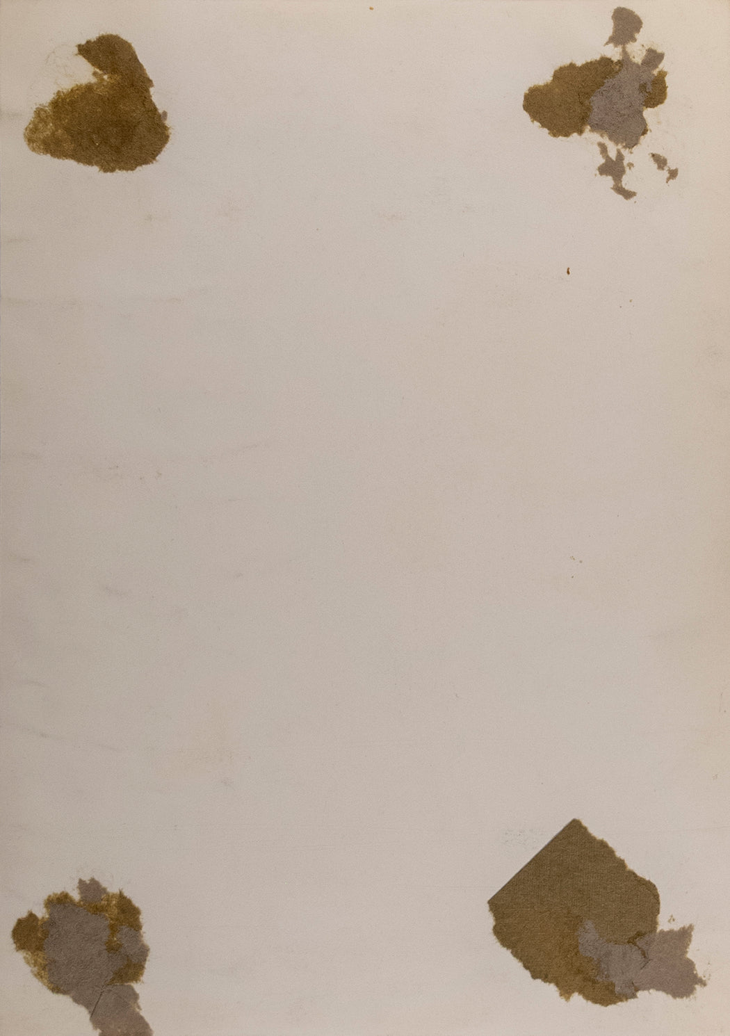 Untitled (portrait of a young woman)