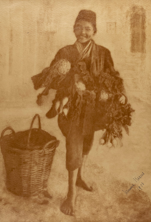 Vegetable Boy