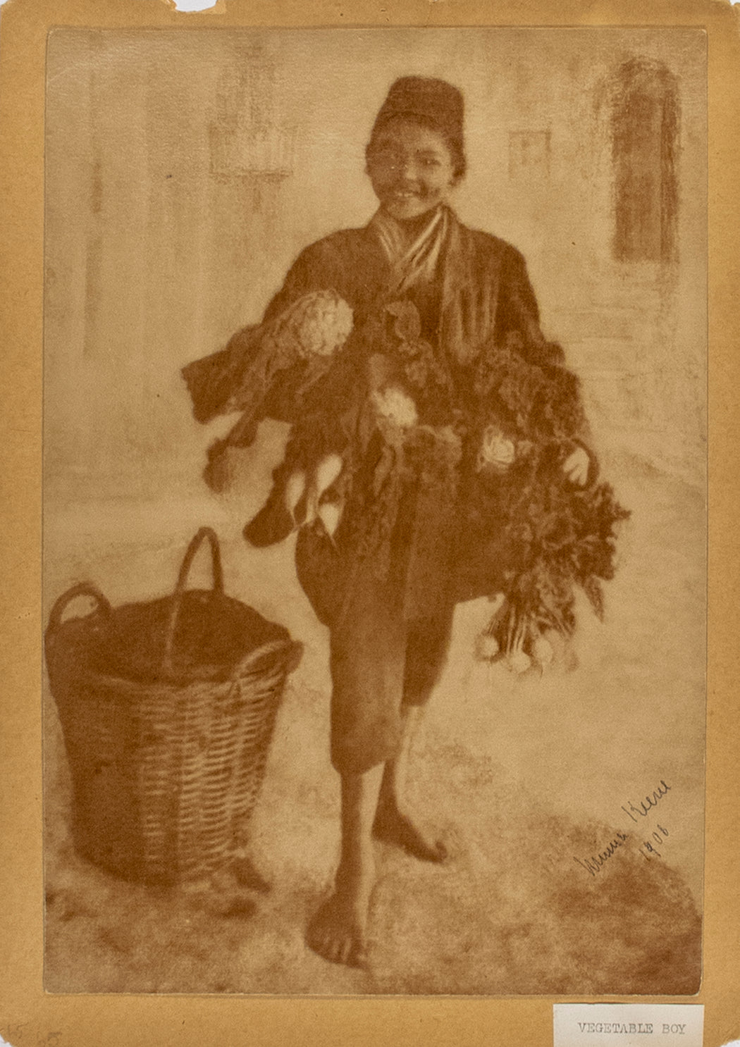 Vegetable Boy