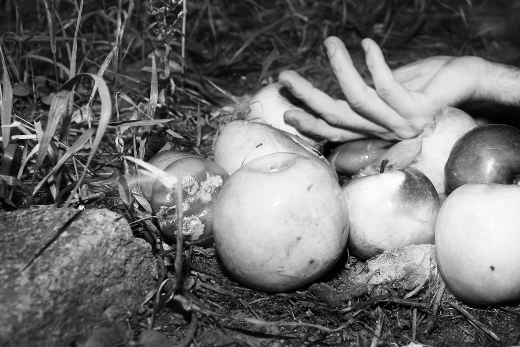 He Lies In A Pile Of Golden Apples