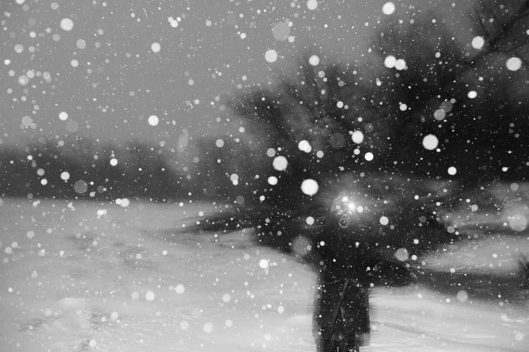 She Takes His Picture From The Shore