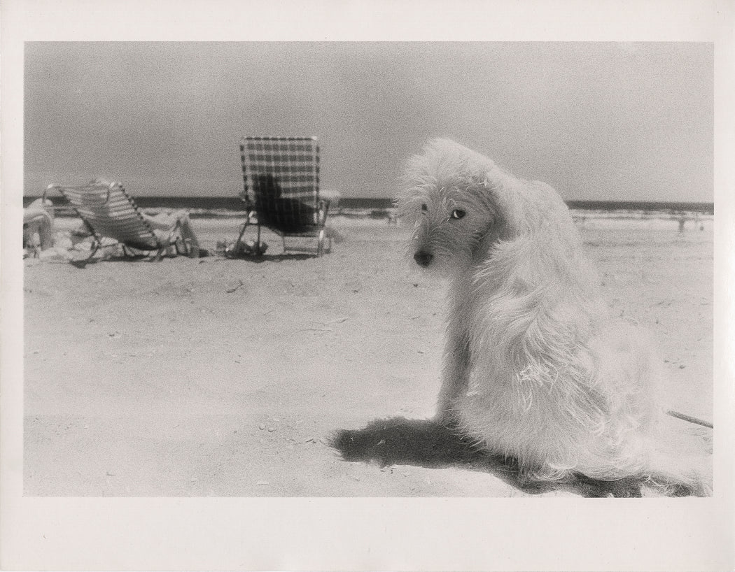 Lois at the Beach, Rockaway Beach, New York (vintage print)