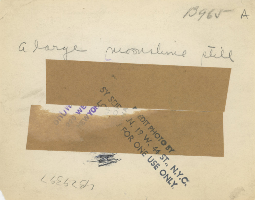 A Large Moonshine Still