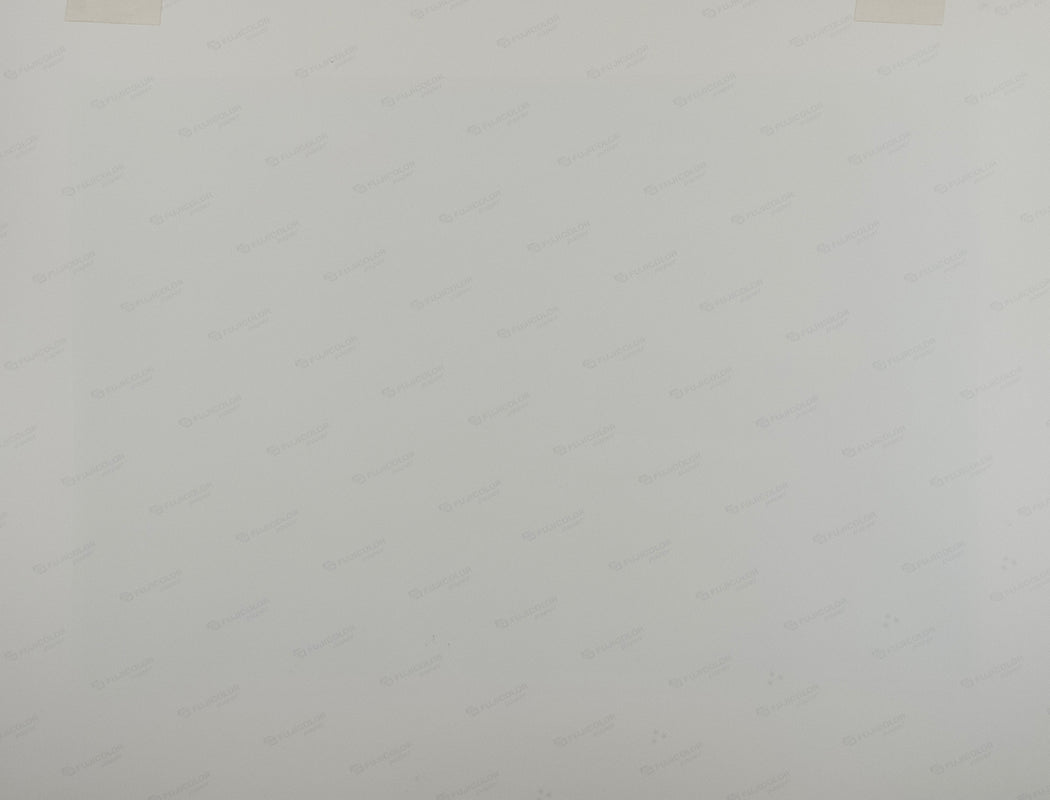 View from Spadina Bridge, West Side