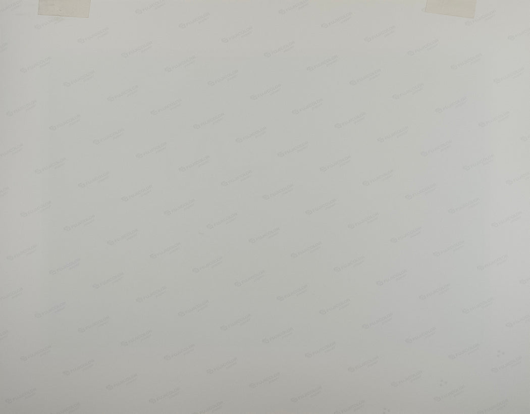 Spadina Bridge, Southwest Side