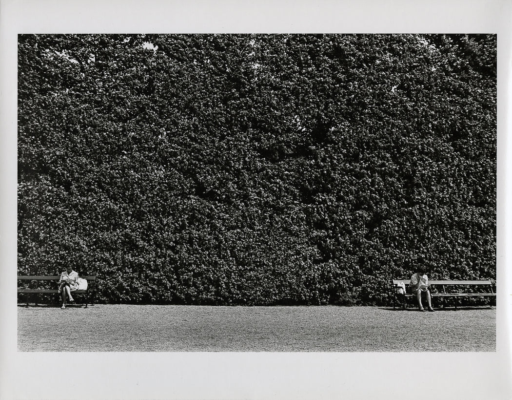 Schonbrunn Palace (vintage print)