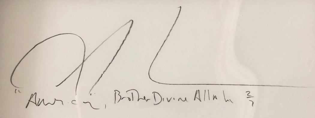 America (Brother Divine Allah, N.J. Chairman of The New Black Panther Party)