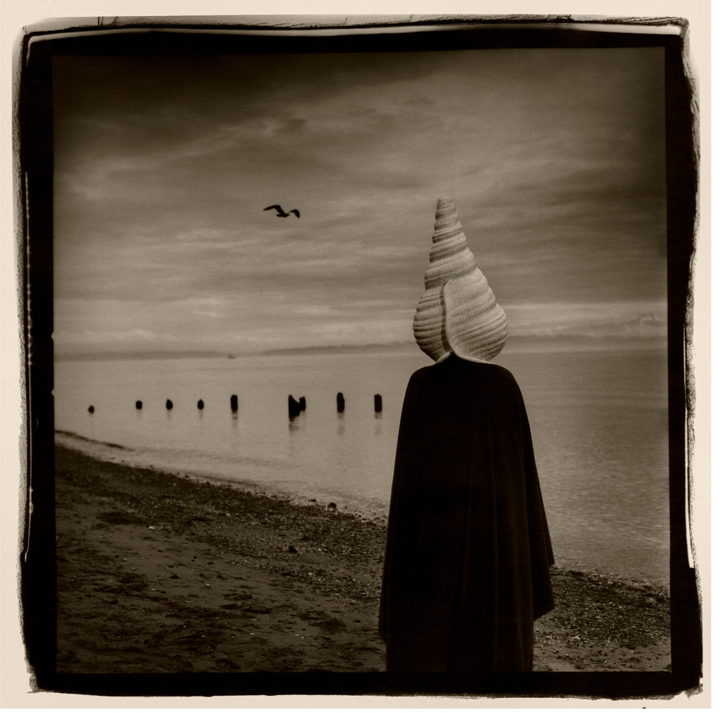 Shell Man - #2