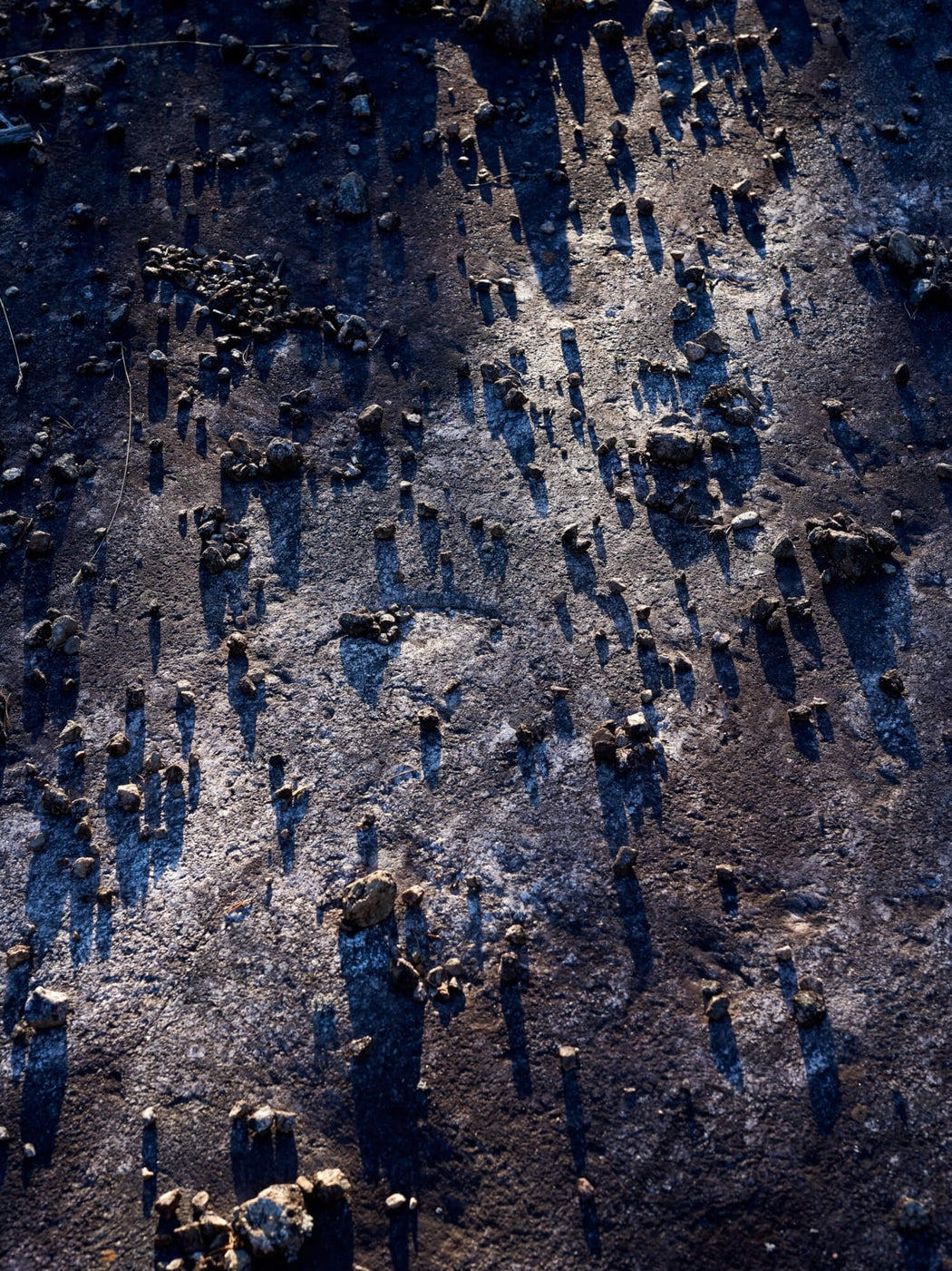 FFOTO-Guillaume Simoneau-Galaxy one, on location ELA, Canada