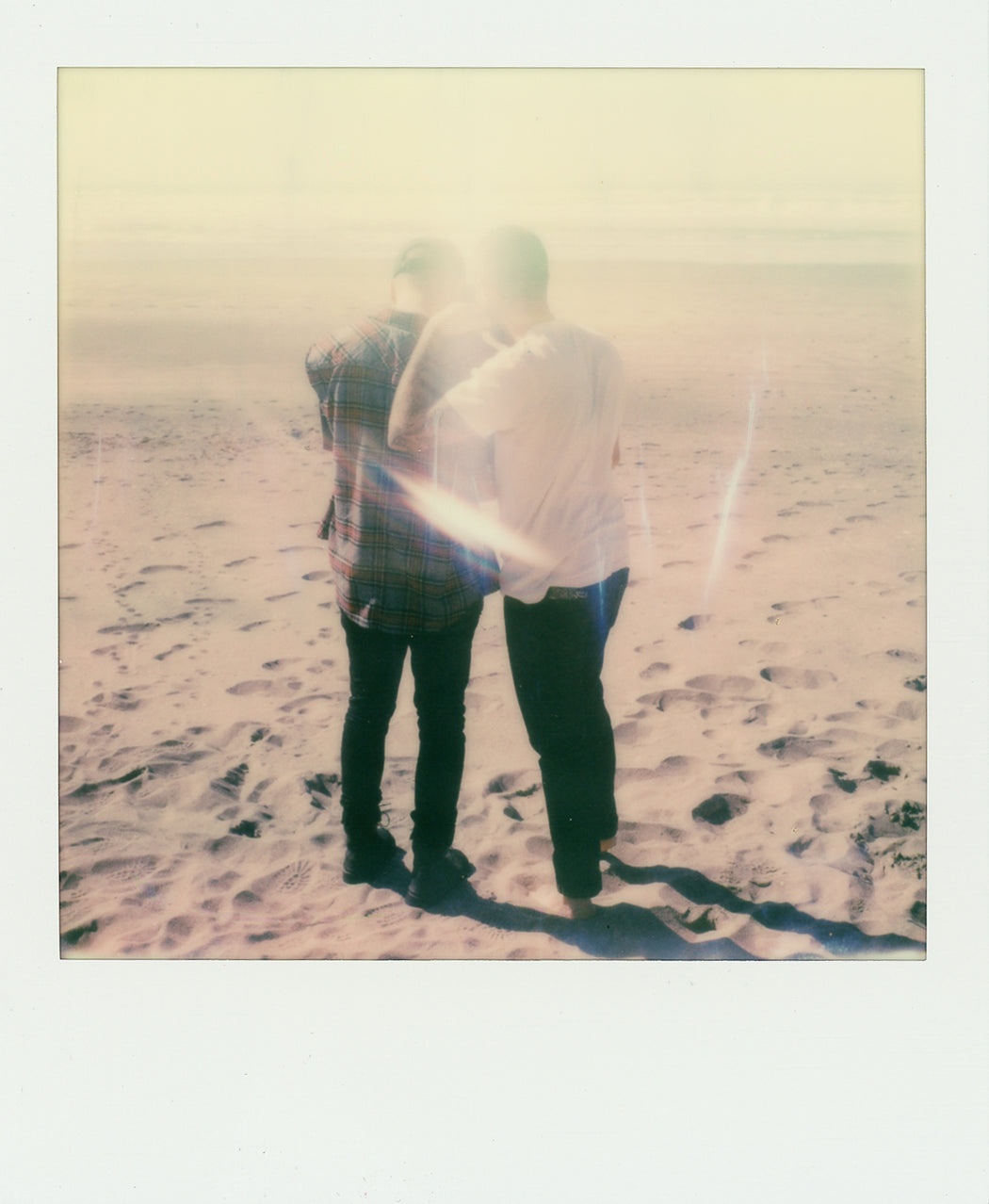 Have / Hold (Exhibition Bundle)