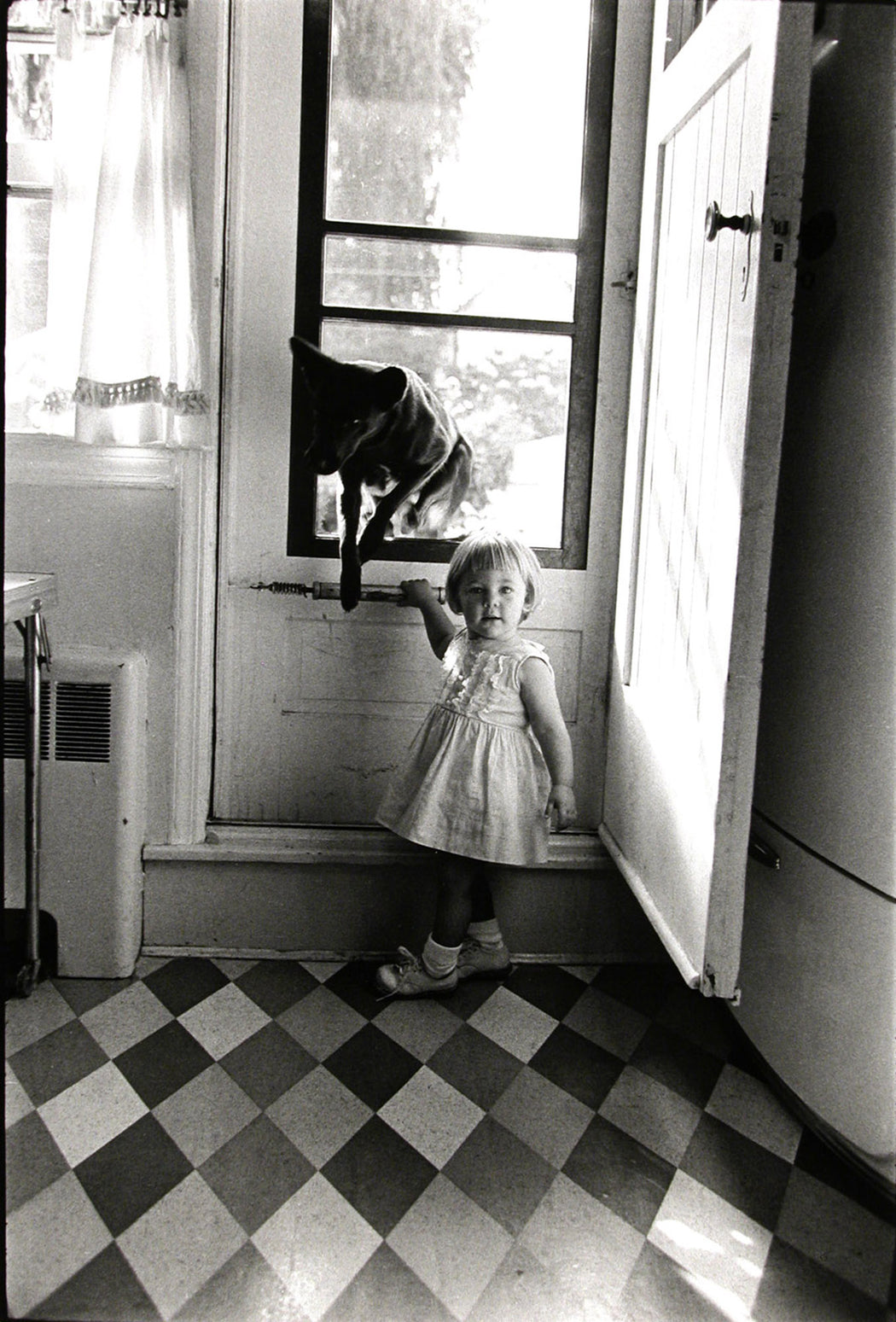 Blond Girl + Black Dog, Queens, New York