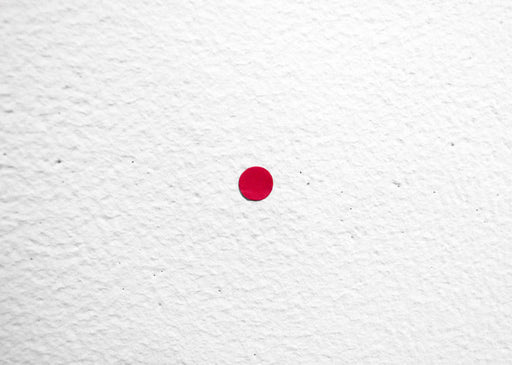 FFOTO-Cynthia Greig-Andrea Rosen