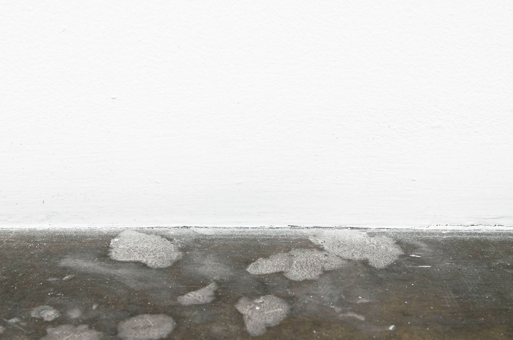 FFOTO-Cynthia Greig-Angles (Joseph Kohnke: Displacements)