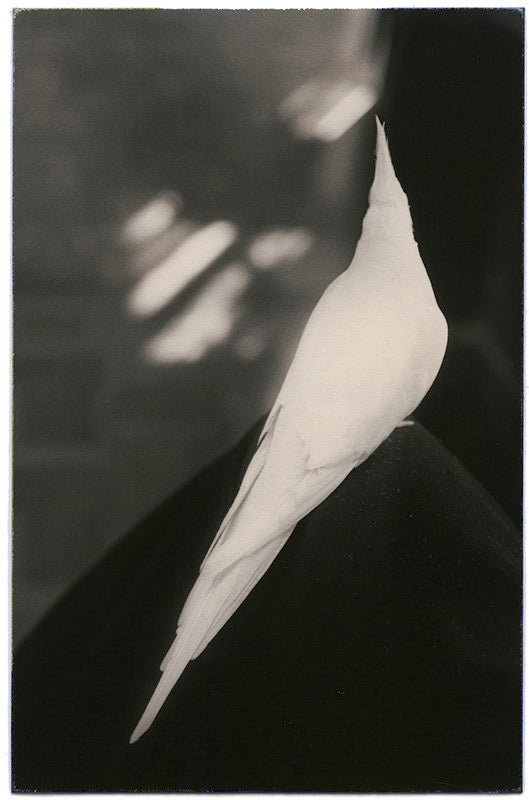 FFOTO-Yamamoto Masao-# 1027