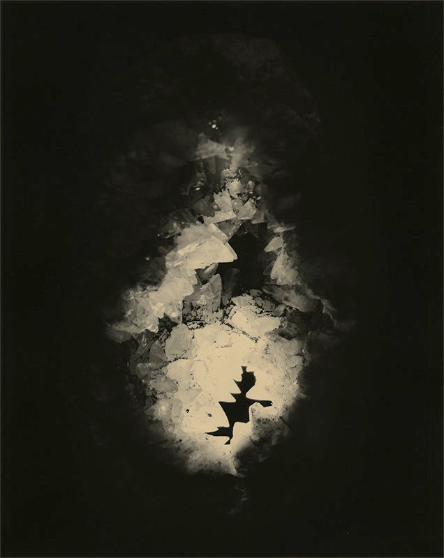 Reborn, # 3042 - Yamamoto Masao | FFOTO