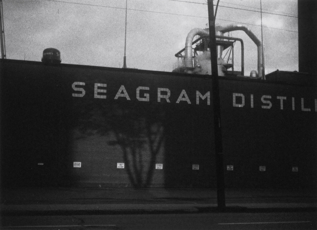 MN:XXII-31-77 - Charles Gagnon | FFOTO