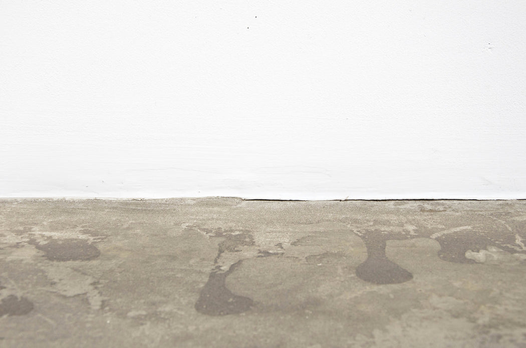 FFOTO-Cynthia Greig-Casey Kaplan (Liam Gillick: Scorpion and und et Felix)