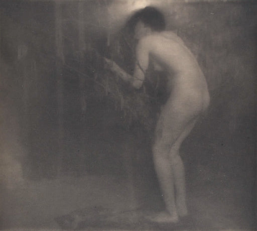 FFOTO-Edward Steichen-Le Cigale (The Grasshopper)