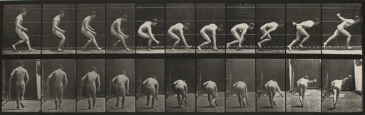FFOTO-Eadweard Muybridge-Animal Locomotion, Plate 287