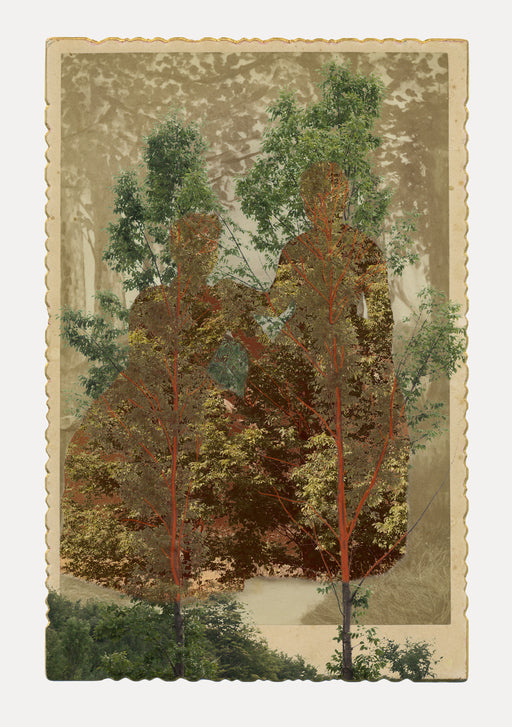 Sister Elms - Sara Angelucci | FFOTO