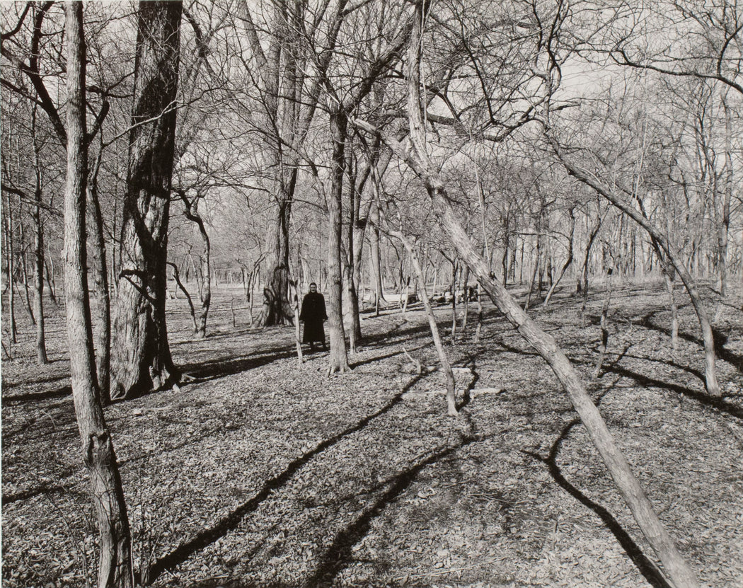 FFOTO-Harry Callahan-Eleanor in the Woods