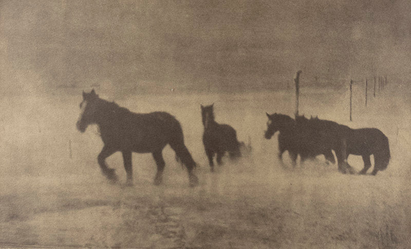 Untitled, Winnipeg - Minna Keene | FFOTO