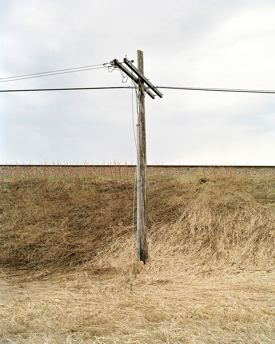 Untitled (grass and post)
