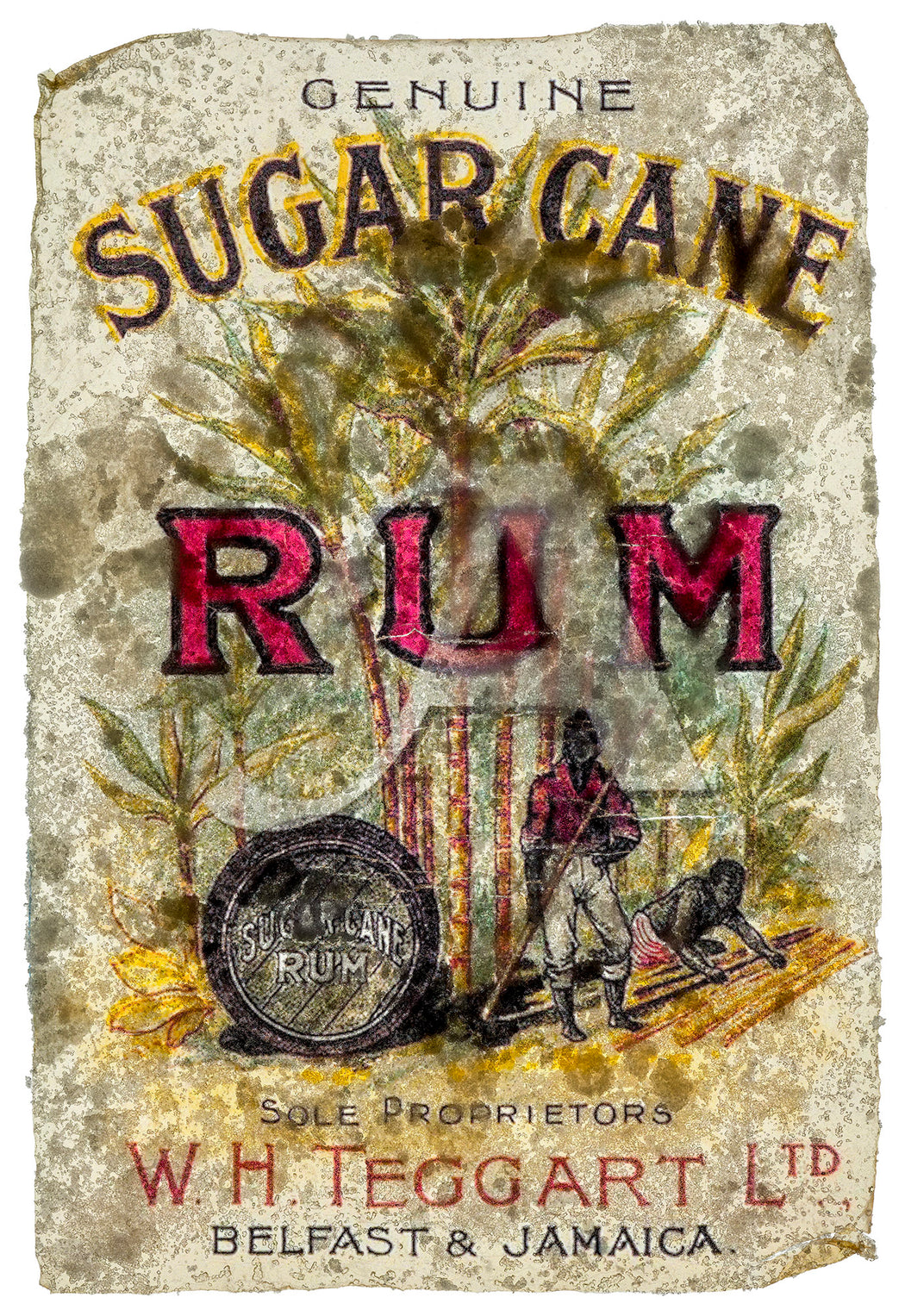 Rum and Cane