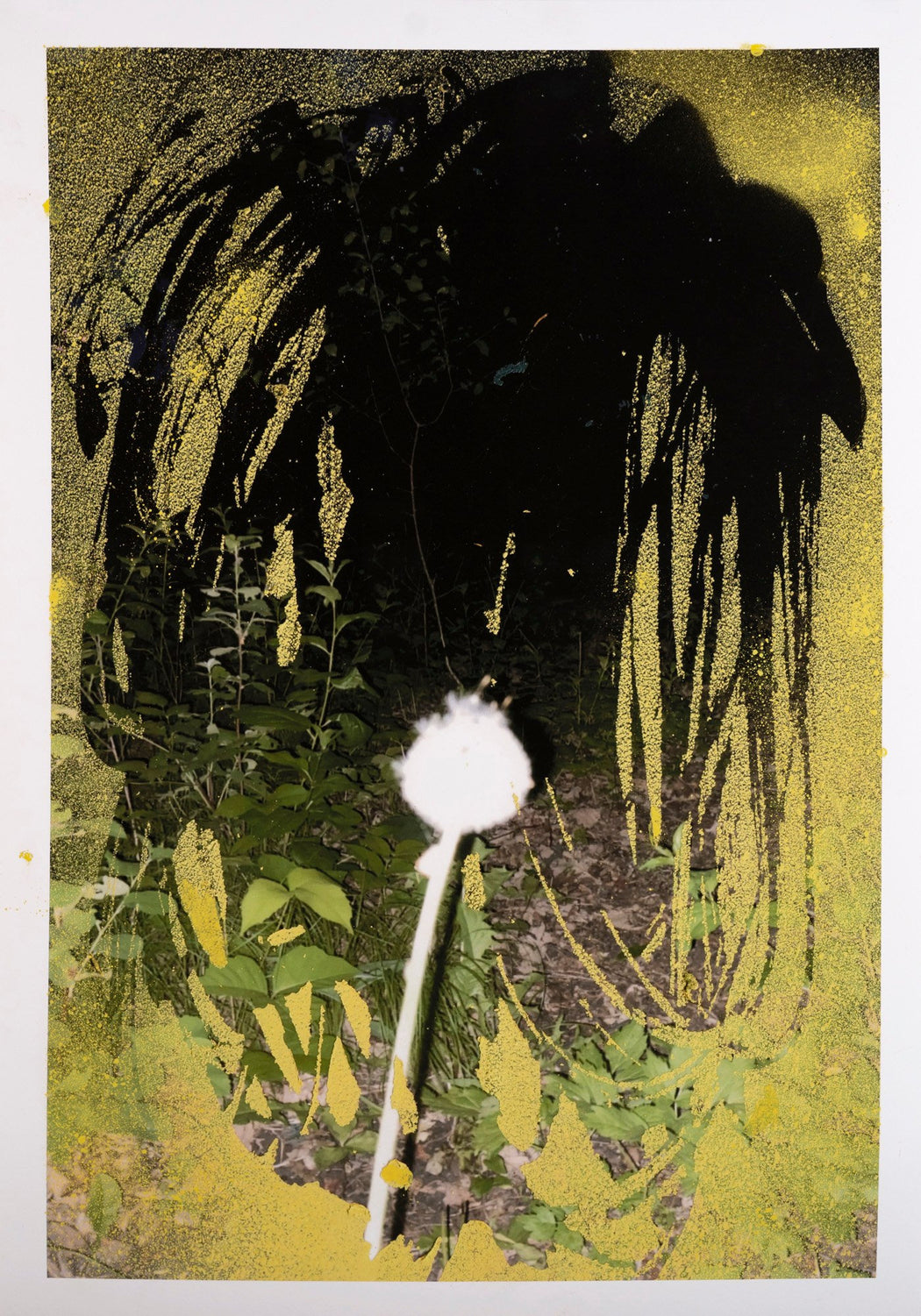 #14