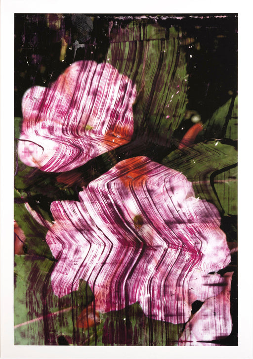 #8
