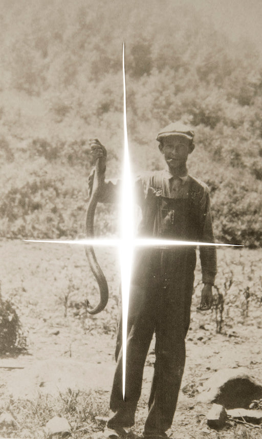 Snake Oil