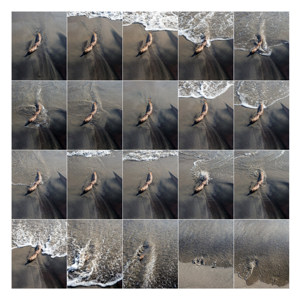 Surf Study - Branch