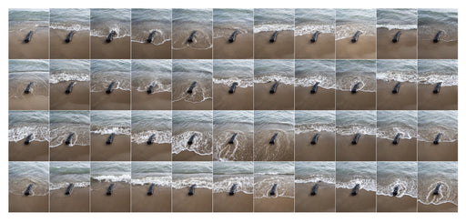 Surf Study - Burnt Log